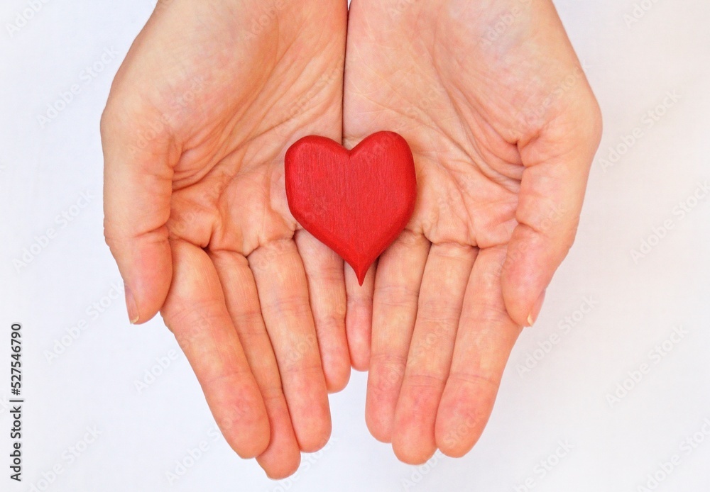 heart in hands heart in hands
