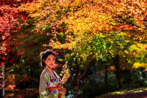 Canvas Print portrait young asian girl traveller in traditional kimino dress holding meple le