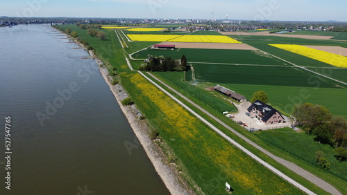 View from sky over rapeseed fields with power lines and fields and river rhine krefeld northrhine westphalia germany photo