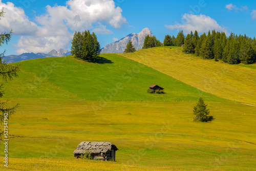 Beautiful green meadows of the Armentarola valley near Badia in South Tyrol in the Dolomites, Italy photo