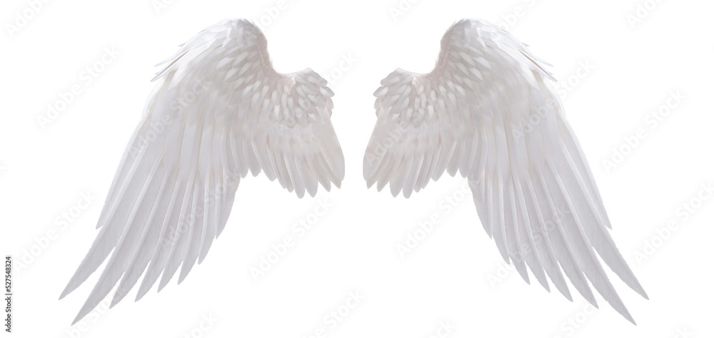 white angel wing isolated for design - obrazy, fototapety, plakaty 