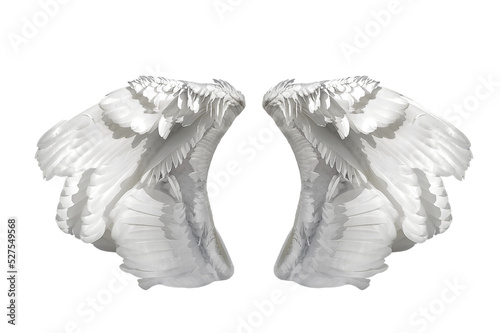White angel wings for design