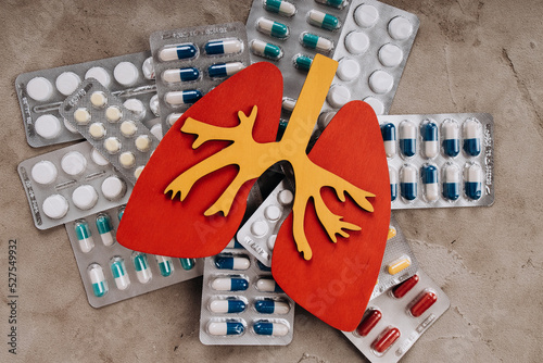 Lungs model with pills close-up