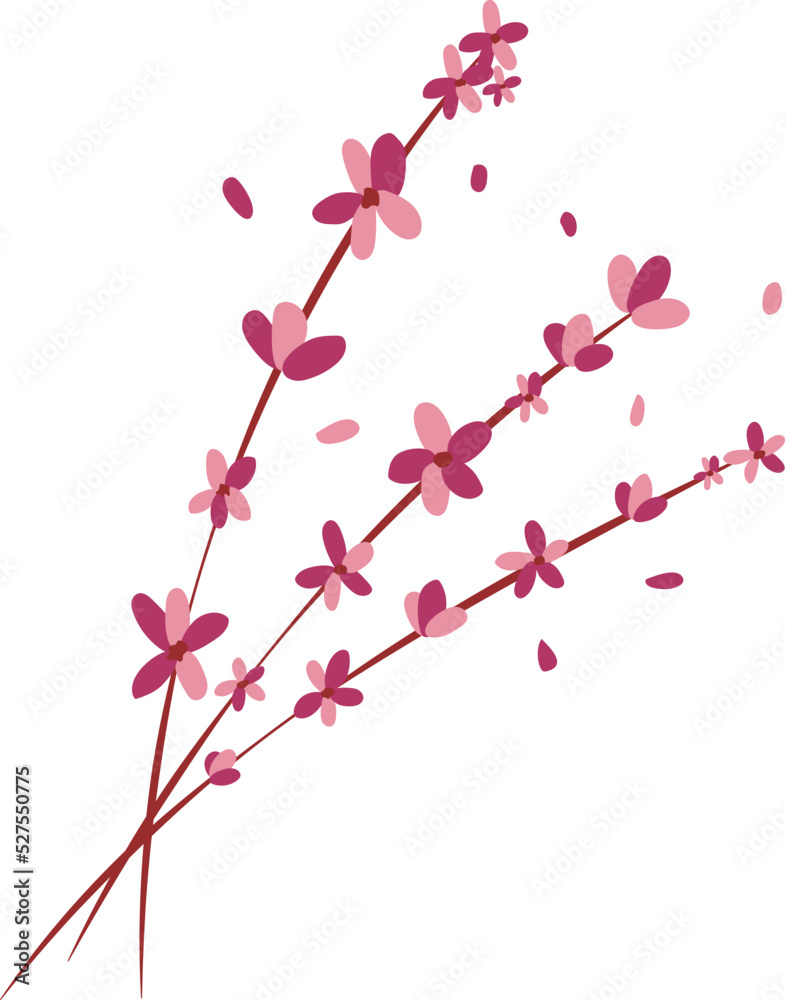 Cherry blossoms Flower Illustration Design Element Vector Cherry blossoms Flower Illustration Design Element Vector