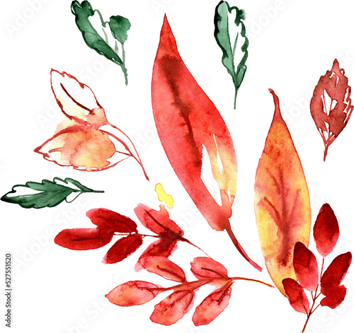 Orange and Yellow Autumn Leaves. Hand Painted Watercolor Illustration
