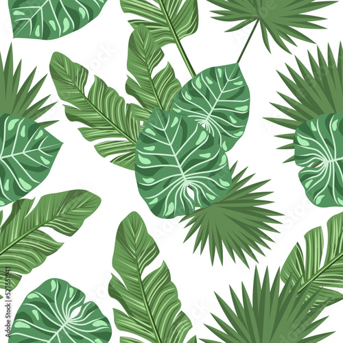 Seamless pattern of tropical leaves on a white background.Vector pattern can be used in textiles, backgrounds, paper.