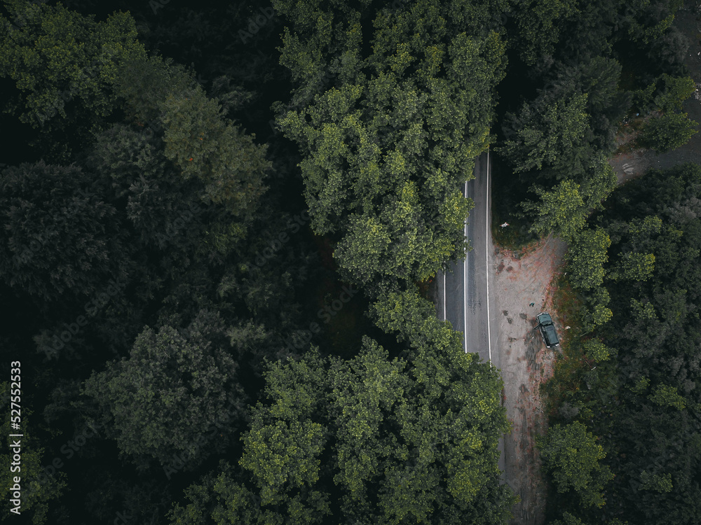 Obraz premium the road through the tree tunnel