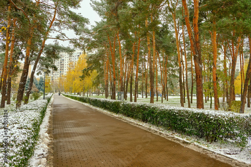 First snowfall in bright colorful city park in autumn. Lonely bench on alley under trees brabches with golden  green  orange foliage white snow covered.