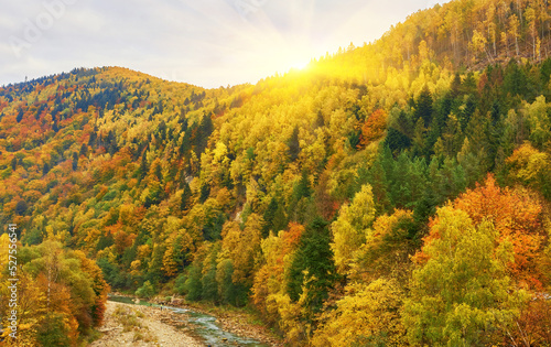 mountain autumn landscape with colorful forest © Ryzhkov Oleksandr