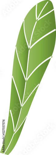 Fototapeta Naklejka Na Ścianę i Meble -  Leave foliage herb vintage decorative background backdrop graphic design illustration png