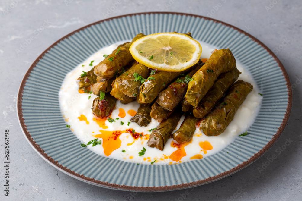 Traditional delicious Turkish cuisine; Leaf wrap - stuffed leaves served with yoghurt. Turkish name; yogurtlu yaprak sarmasi