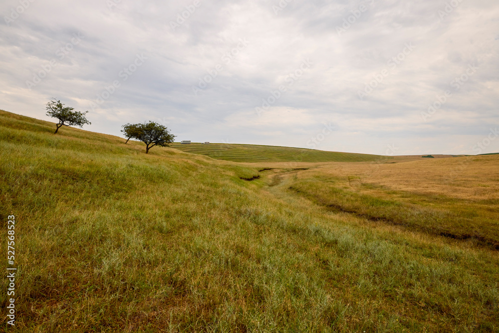 Fototapeta premium a landscape with hills and pastures in June
