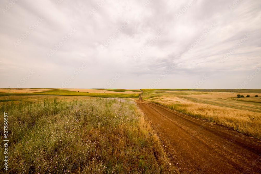 Naklejka premium a landscape with hills and pastures in June