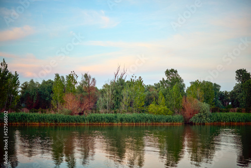 a beautiful landscape from the Danube delta with water and vegetation
