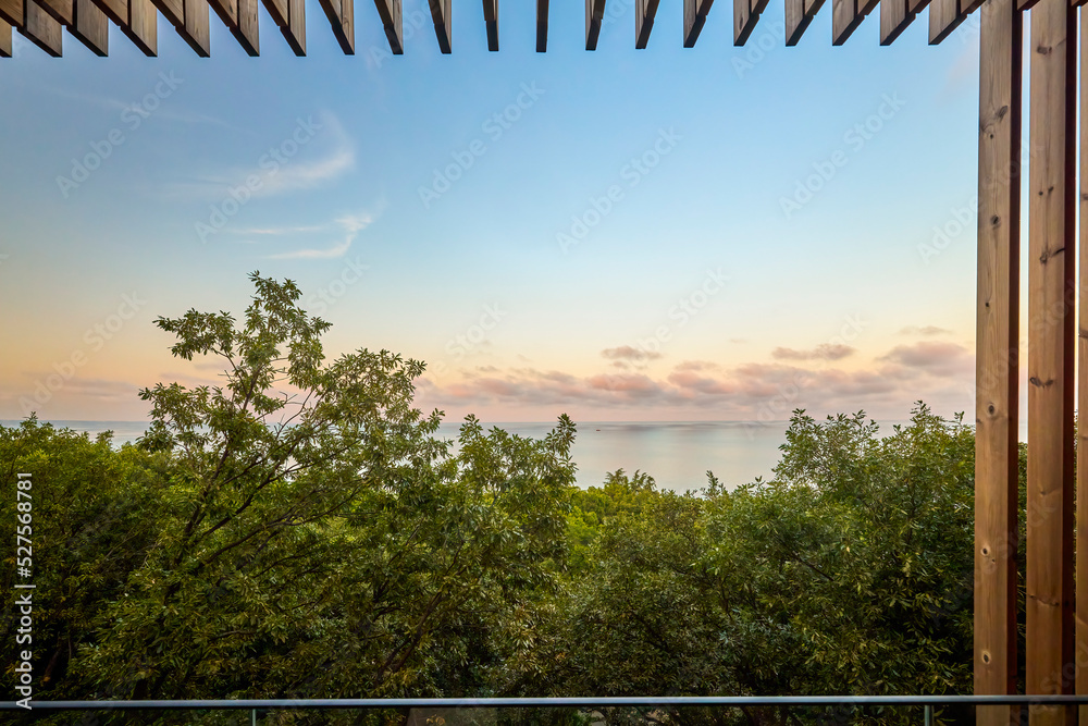 Fototapeta premium landscape with water and vegetation on a summer day