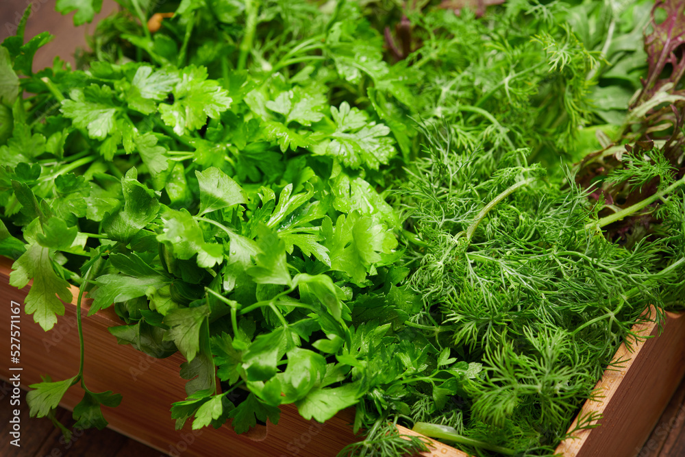 a top of bunch of green dill, parsley, salad, herbs and other greens in a wooden box, dark wood background, concept of fresh vegetables and healthy food a top of bunch of green dill, parsley, salad, herbs and other greens in a wooden box, dark wood background, concept of fresh vegetables and healthy food