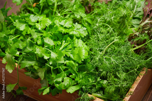 a top of bunch of green dill, parsley, salad, herbs and other greens in a wooden box, dark wood background, concept of fresh vegetables and healthy food