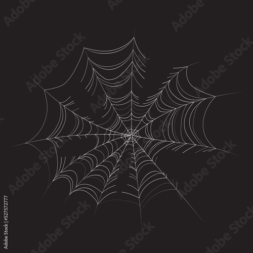 white web on black background, vector