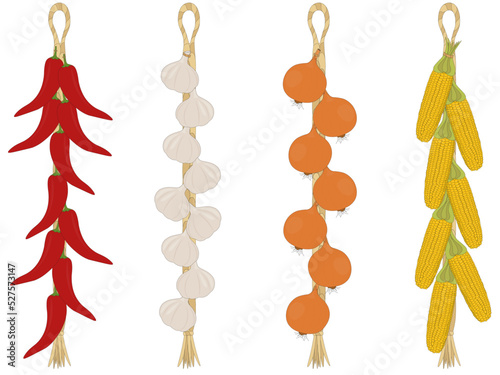 Hanging string of different harvested vegetables for storaging vector illustration