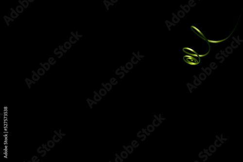 Beautiful green nature spiral shape on black background, Abstract green natural spiralling shape. photo