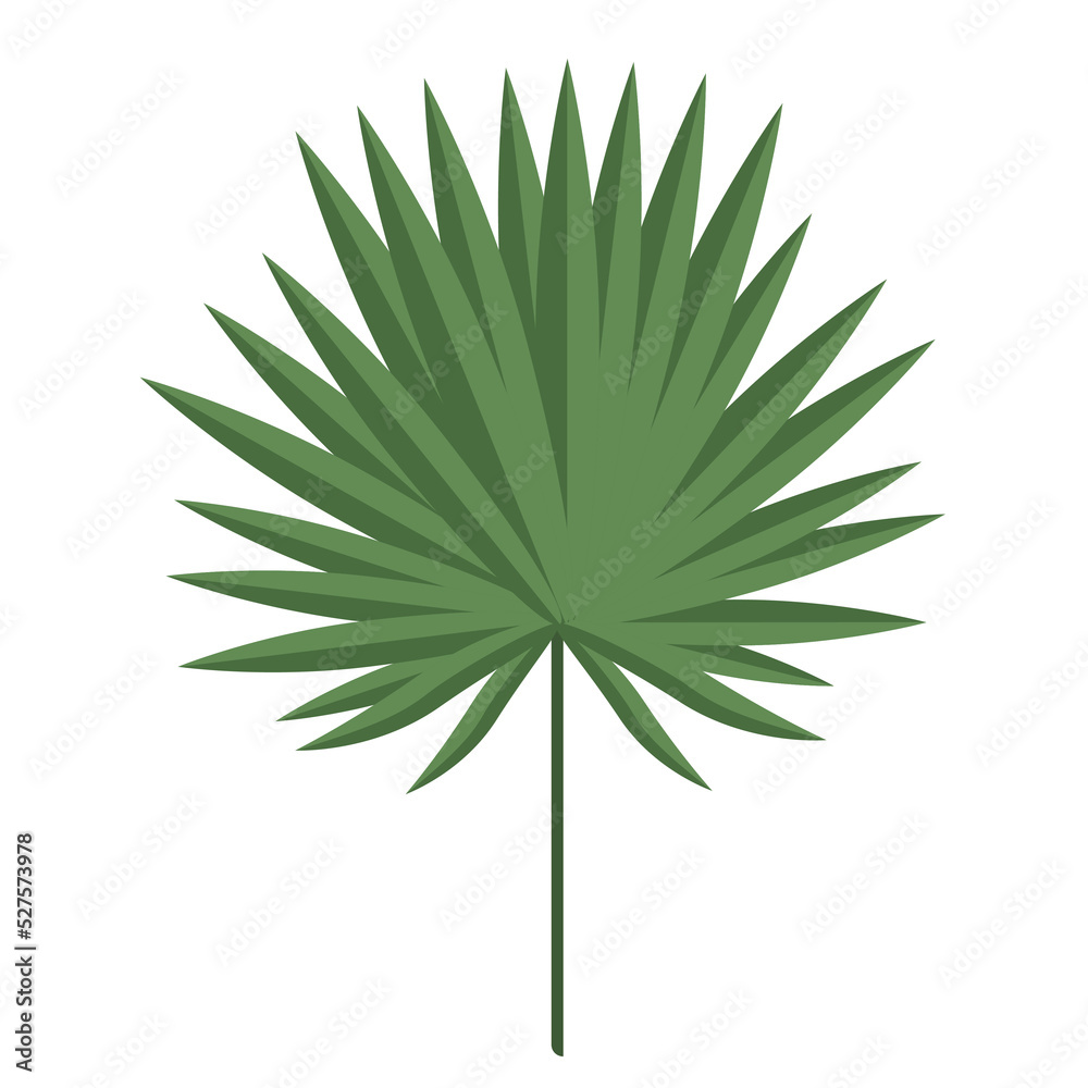 A tropical leaf isolated on a white background.Vector illustration. A tropical leaf isolated on a white background.Vector illustration.
