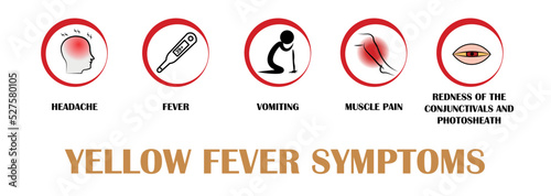 Yellow fever symptoms, Pictograms with names of individual symptoms