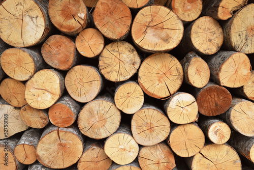 photos of stacked logs