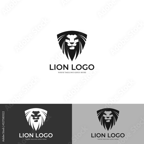 Vector illustration of a lion logo, emblem design.