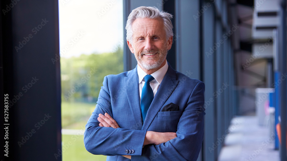 Portrait Of Smiling Senior Businessman CEO Chairman Standing Inside Modern Office Building - obrazy, fototapety, plakaty 