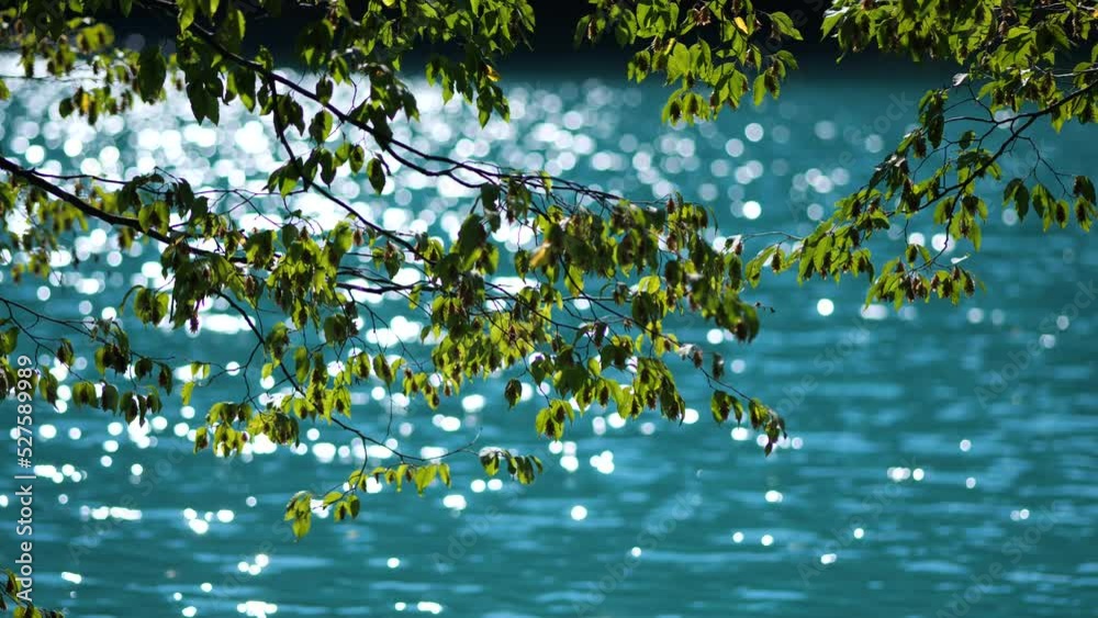 Blue Lake and Foliage in Summer in Plitvice Lakes Slow Motion and Bokeh Blue Lake and Foliage in Summer in Plitvice Lakes Slow Motion and Bokeh