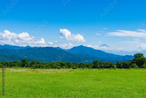 【山梨県】清里高原の牧場風景と富士山 © k_river