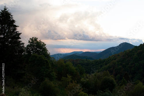 Sunset Time on the Forest. Julian Alps