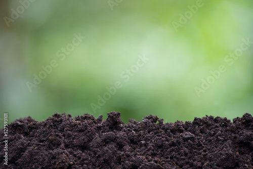 Black soil for planting trees on natural background.