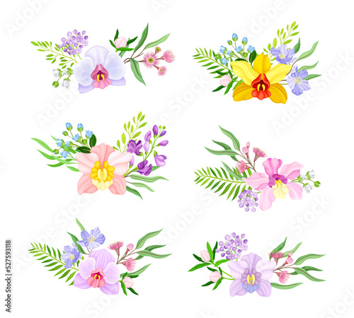 Fragrant Orchid Blooms with Labellum Arranged with Floral Branches Vector Set