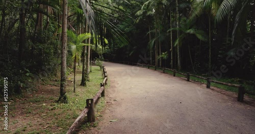 Path with exotic trees in Corrego Grande Municipal Park photo