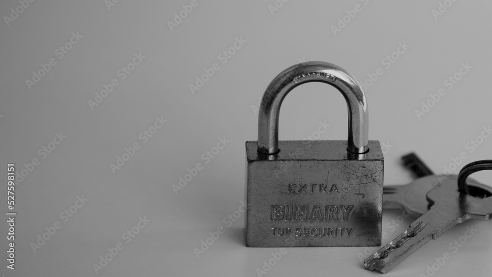 Naklejka premium Padlock with double anti-burglary system
