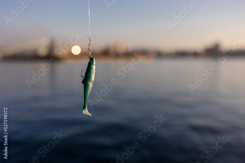 Fish bait on a fishing hook photo