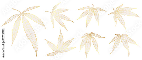 Set of luxury cannabis vector element. Collection of foliage with hemp plant, marijuana leaves, cannabis leaf in gold hand drawn pattern. Elegant wild hemp foliage for decorative, prints, logo.