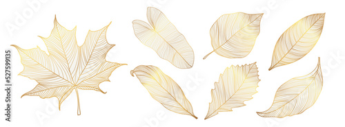 Set of luxury foliage vector element. Collection of botanical with tropical leaves, maple, autumn plant, spring in gold hand drawn pattern. Elegant oriental flowers for decorative, prints, logo.