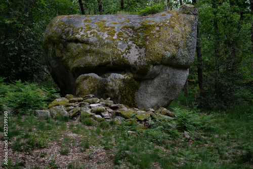 Huge rock in dark forest