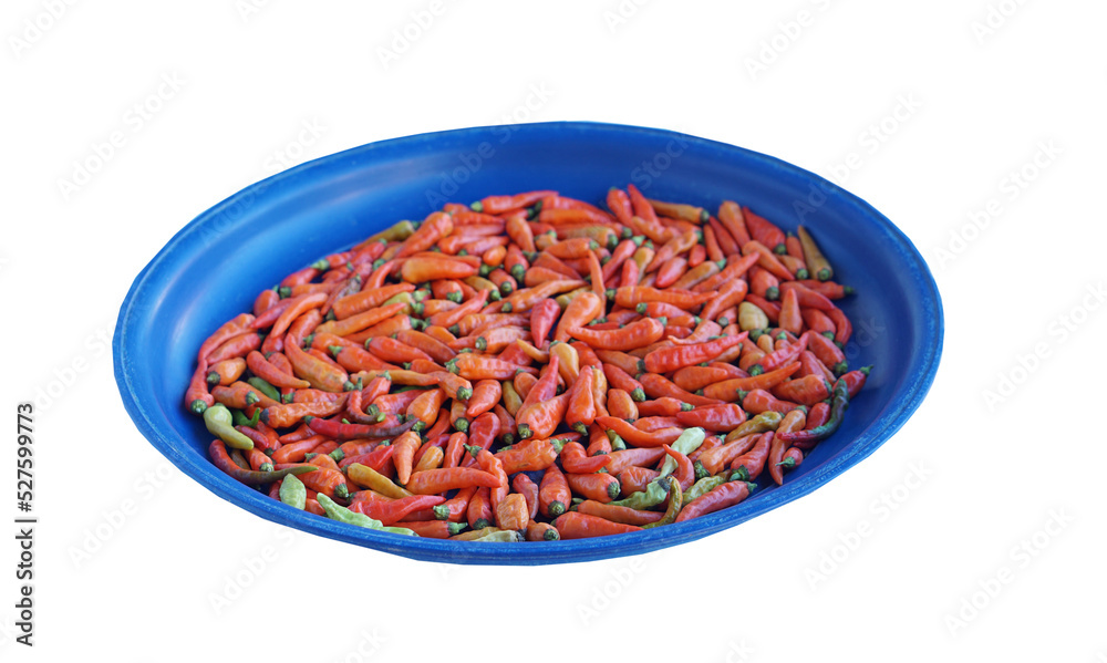 Red ripe Karen chilies peppers Prik Ka Reang on tray isolated on white background. Prepare to dry Concept : food ingredient, hot ,spicy taste for cooking Asian food. Red ripe Karen chilies peppers Prik Ka Reang on tray isolated on white background. Prepare to dry Concept : food ingredient, hot ,spicy taste for cooking Asian food.