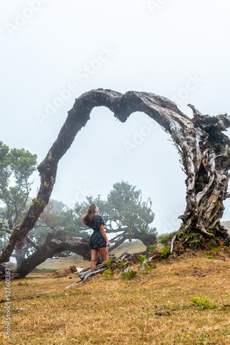 Fanal forest with fog in Madeira, thousand-year-old laurel trees, a young woman in the arch of a fallen tree