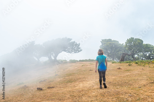Fanal forest with fog in Madeira, young man next to laurel trees walking, mystical, mysterious