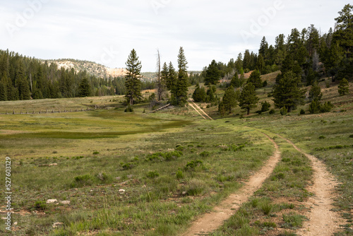 Fading Two Track Road In Bryce Canyon Meadow photo