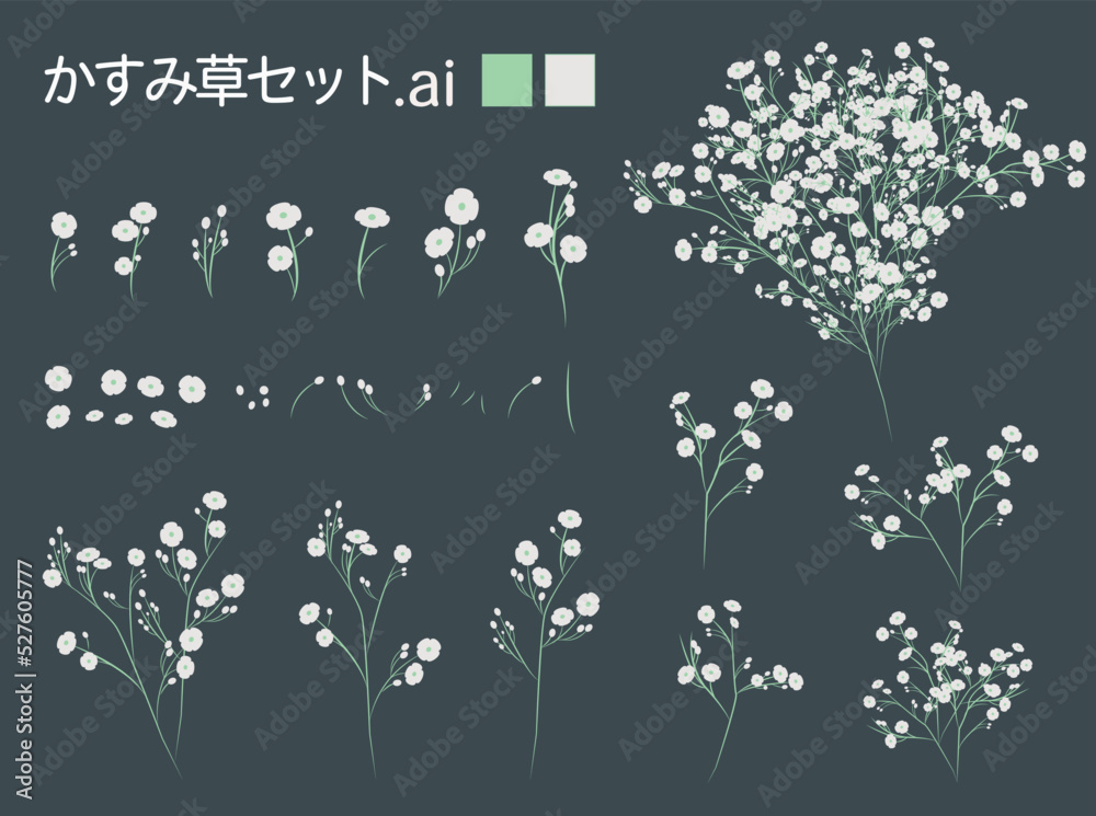 かすみ草」の写真素材 | 1,985,481件の無料イラスト画像 | Adobe Stock