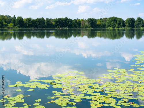 view of forest lake with water lilies near Raifa Bogoroditsky Monastery, Russia on calm sunny summer day © Ekaterina