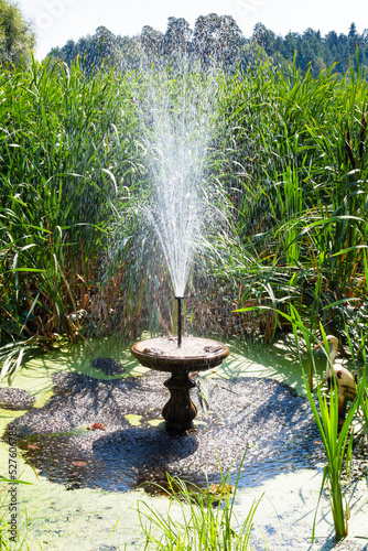 old water fountain on shore of lake overgrown with reeds on sunny summer day near Raifa Bogoroditsky Monastery, Russia photo