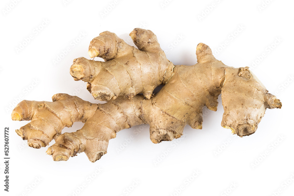 Vegetables on a white background