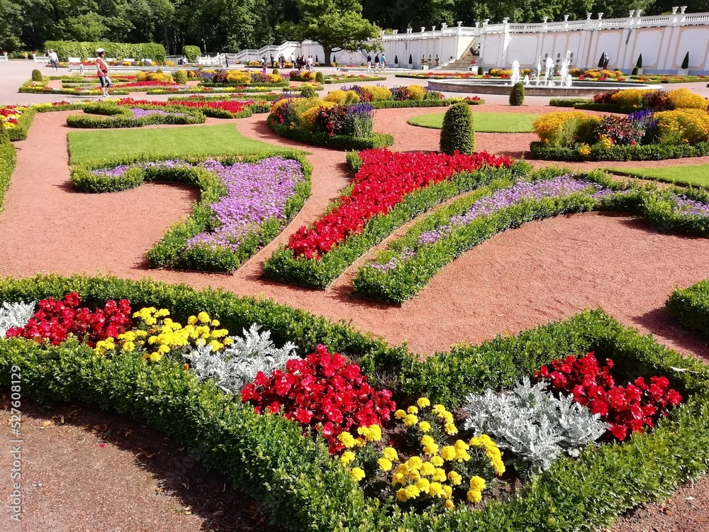Obraz premium garden with flowers