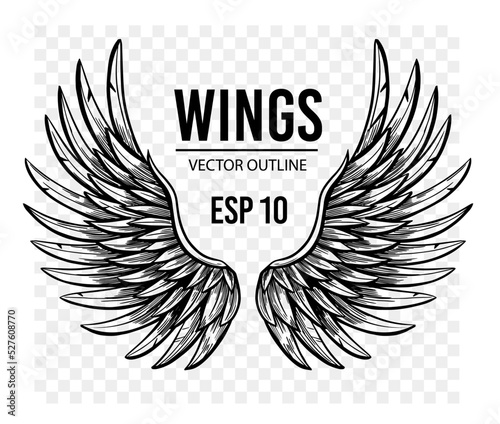 Angel wings. Hand drawn vector sketch illustration, black ink drawing
